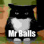 Mr.Balls