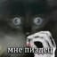 ノヴィ2.0