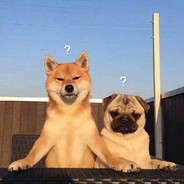 元气少女李二狗