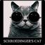 Schrödinger&#039;s Cat