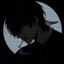 ꧁ঔৣ☬✞ Shiro ✞꧁✞