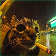 trip1337