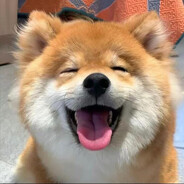 那天没有好好告别