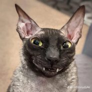 Игорь ногти Недор