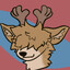 Gapi the reindeer