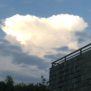 宁愿不做也不犯错