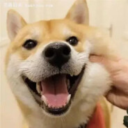 【SVIP】老默我想吃鱼