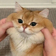 财神爷的心尖尖