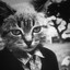 I am котик