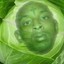 21 Cabbage