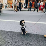 阿葱昨天睡醒了吗