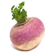 Tuberous Root Vegetable