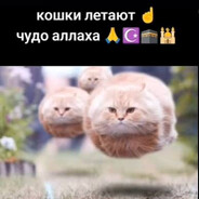 aллax тебя не любит - steam id 76561199120543872