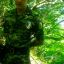 oco6o___ onaceH