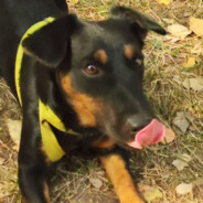 K1SeLL - steam id 76561199438635023