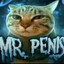Mr. Penis