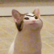 TheOneAndOnlyWokeKoala