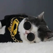 Charlie 'Lucky' Luciano