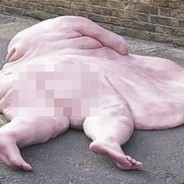 __