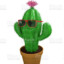 TheTrendyCactus