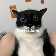 Doktor Aura