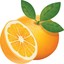 smoL Orange