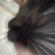 你想何出怎样的意味¿