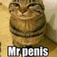 Mr.Penis