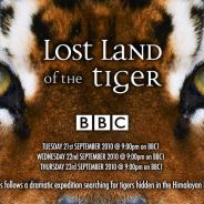 (FOG)the_tiger[DK](IN)