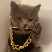 𝓐𝔃𝔃𝔂 143.981Hz