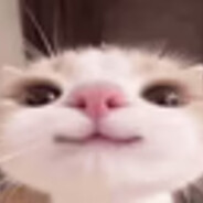 Cam