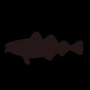 rrcodfish