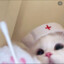 sourcupcake_