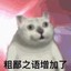 我啥都不知道