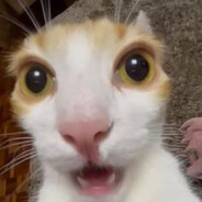 taeroooo avatar