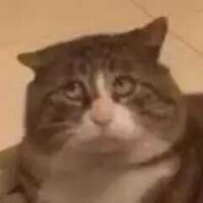 你知道我吃什么猫粮，来找我吧！