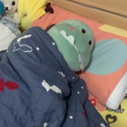 海洋公園在逃保安