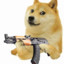 Doge with a Gun?