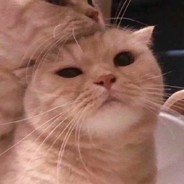 做我的显示器吧 这样我就可以设你的比例了