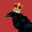 Crow Father's avatar