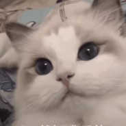 伯乐看了都说好马