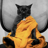 Buddha Cat