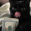 Money_Cat