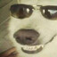 Gusta