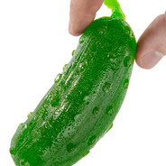 Notapickle