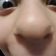 Erastik