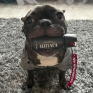 отец слоупока