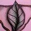 MiskyLeaf