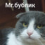 Mr.бублик