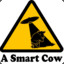 a smart cow